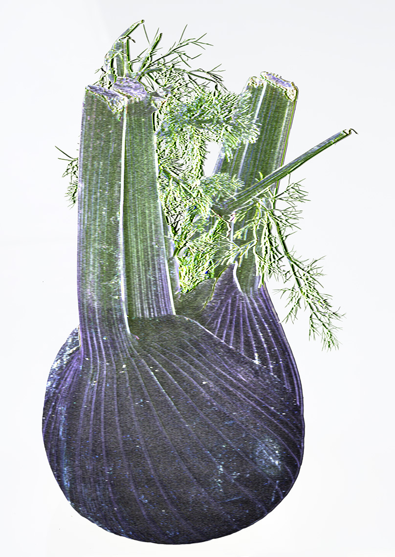 The SVD of a Fennel